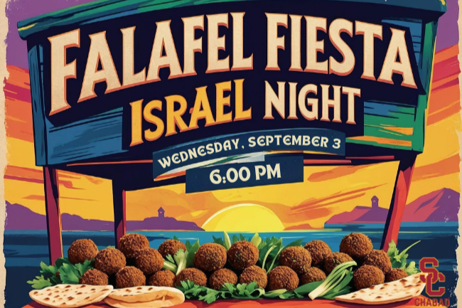 Falafel Fiesta